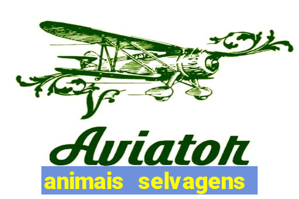 animais selvagens fotos e nomes